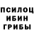 Псилоцибиновые грибы мухоморы #ChasetheMVP