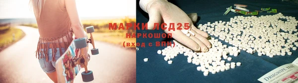 прущий лед Алзамай