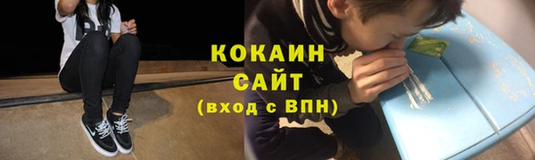ПСИЛОЦИБИНОВЫЕ ГРИБЫ Алексин