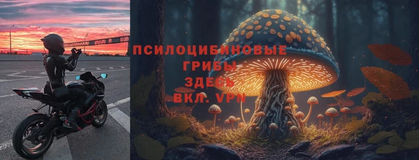 ПСИЛОЦИБИНОВЫЕ ГРИБЫ Алексин