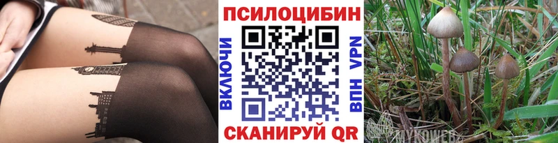 Псилоцибиновые грибы GOLDEN TEACHER  мориарти состав  Микунь 